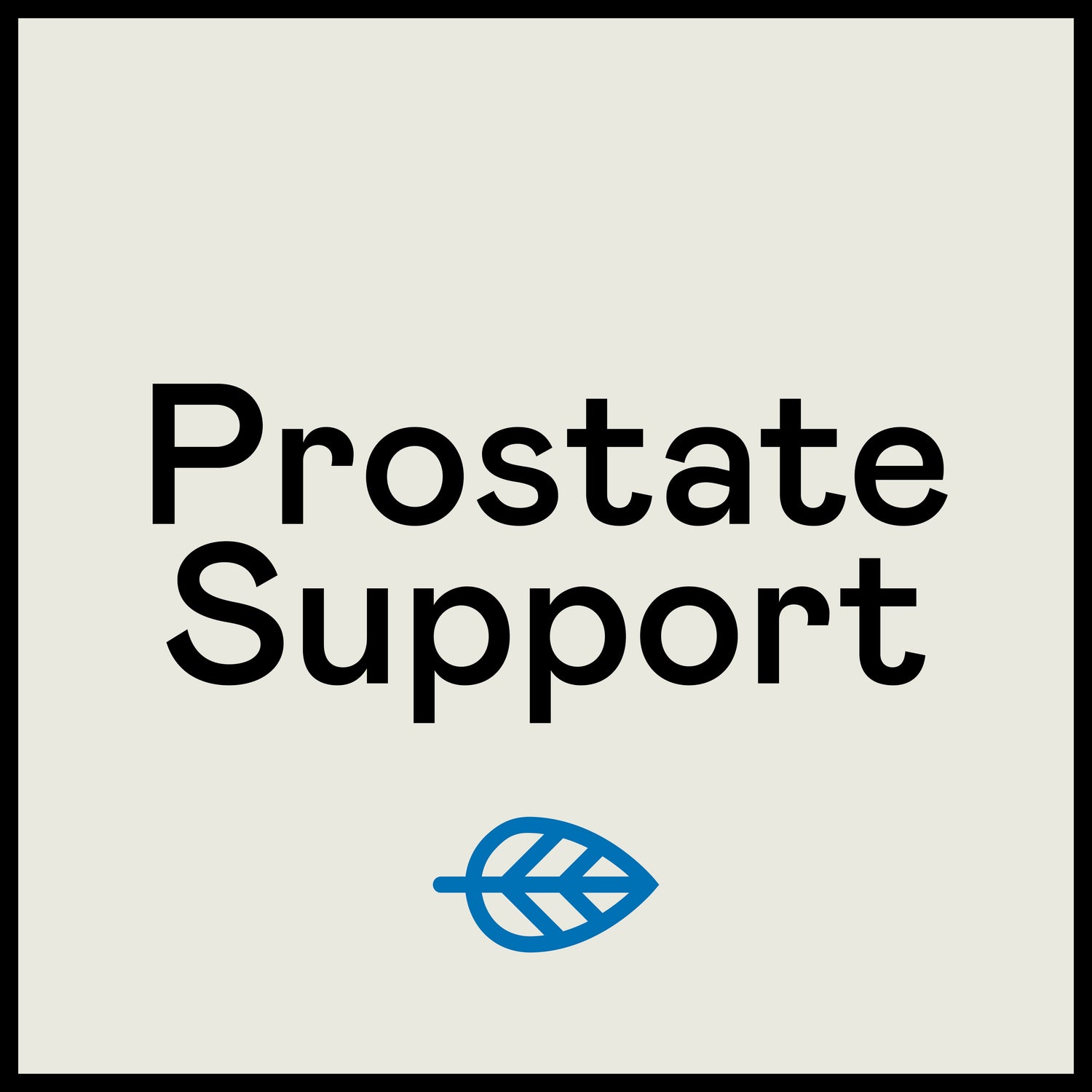 Prostate Support