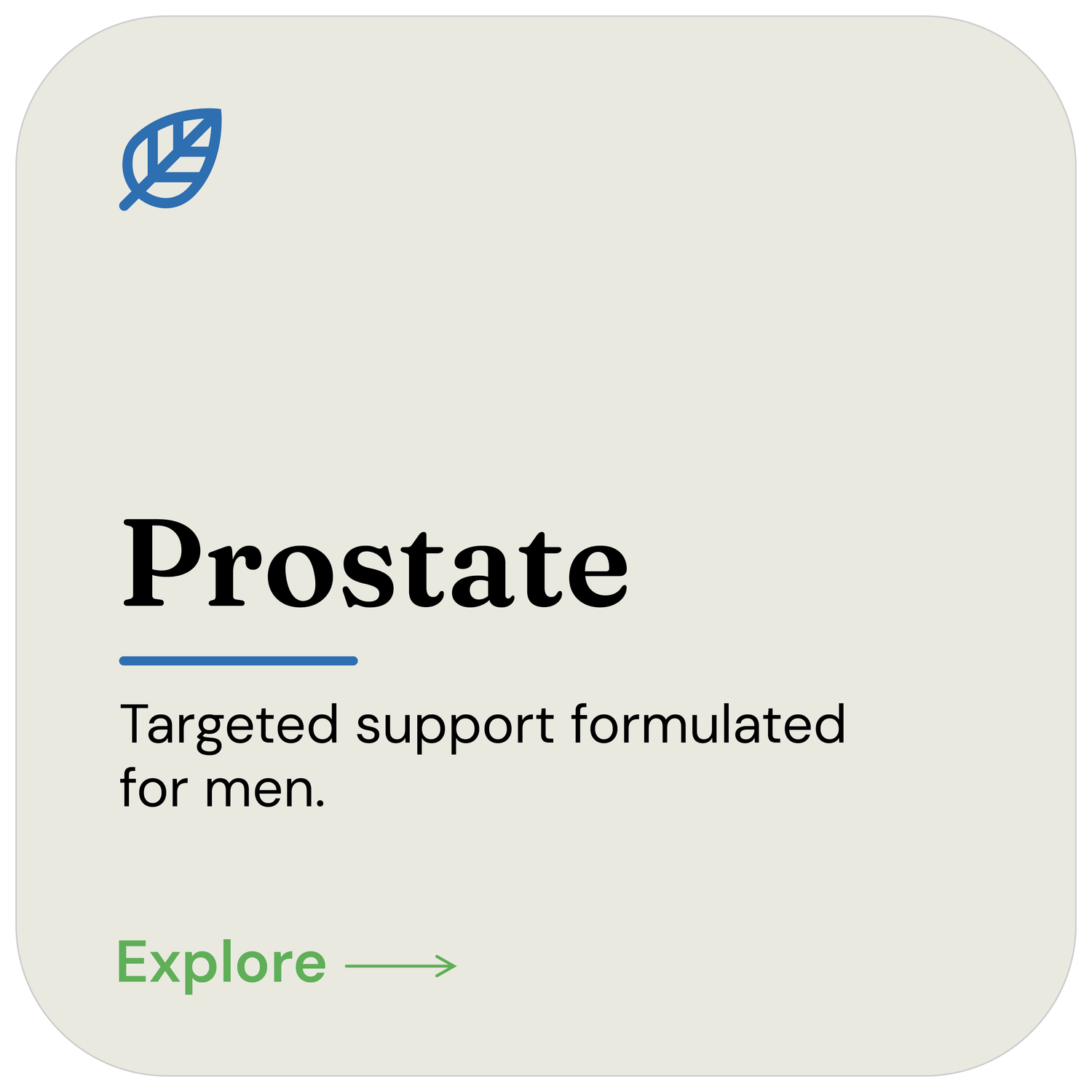 Prostate Support